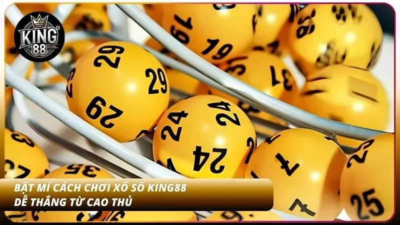 Bỏ túi kinh nghiệm đặt cược hiệu quả từ chuyên gia