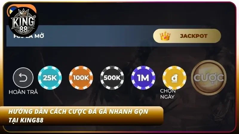 4 Bước tham gia cá độ đá gà siêu tốc