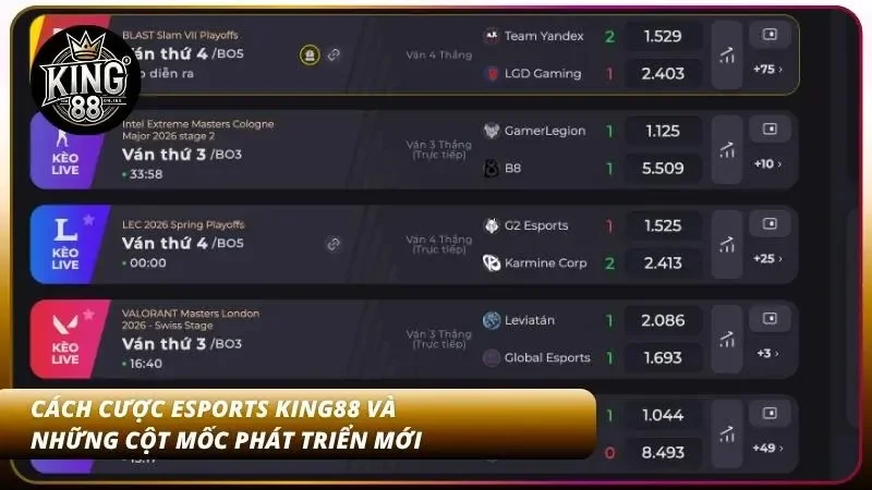 Tìm  hiểu về cách đặt cược thể thao cực chất